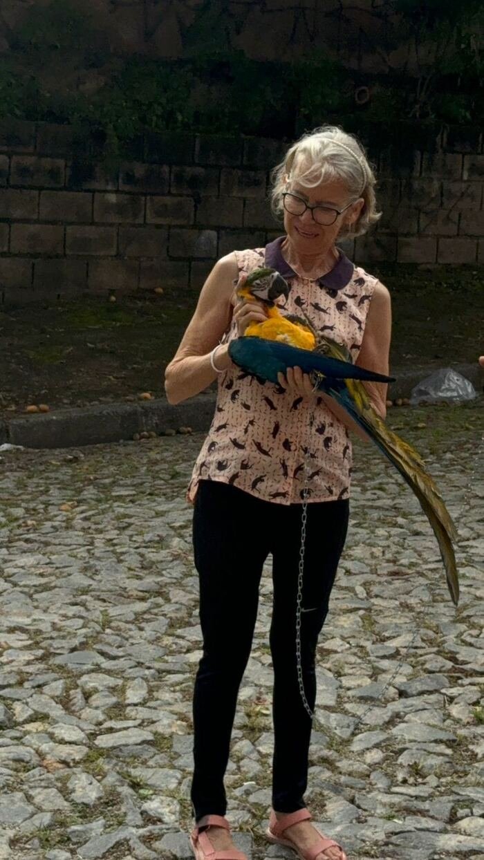 Delma com arara
